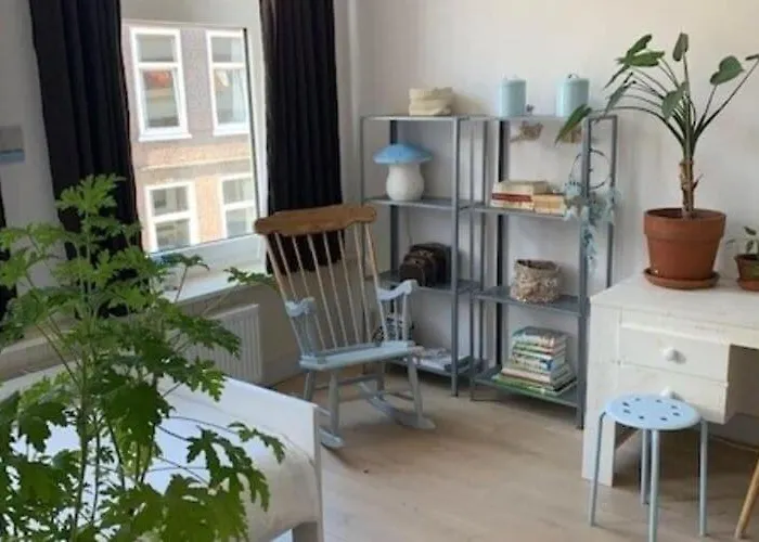 Mansion In The Heart Of The Hague Haia