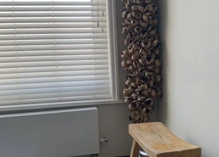 Mansion In The Heart Of The Hague Casa de Férias