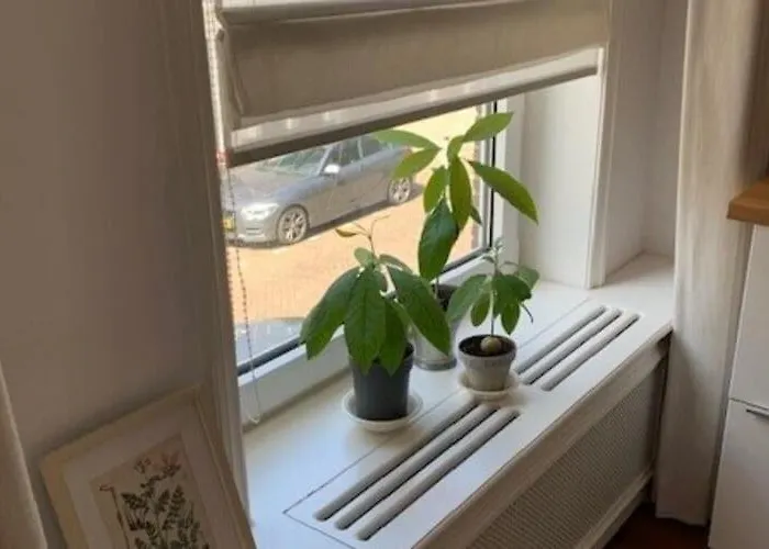 Mansion In The Heart Of The Hague *