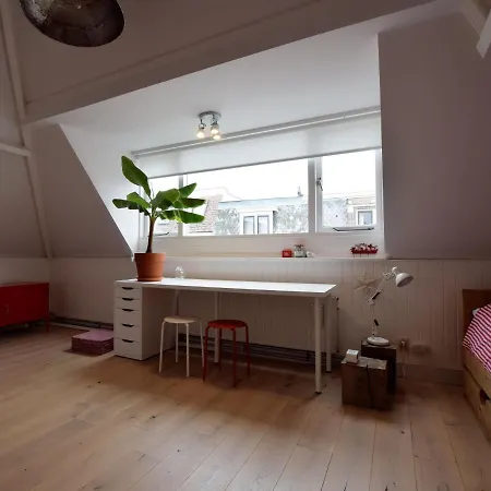 Mansion In The Heart Of The Hague Semesterbostad