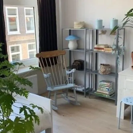 Quietly Located Mansion Near The Centre Of The Hague