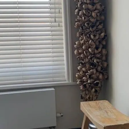 Mansion In The Heart Of The Hague Semesterbostad