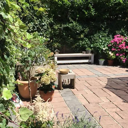 Mansion In The Heart Of The Hague