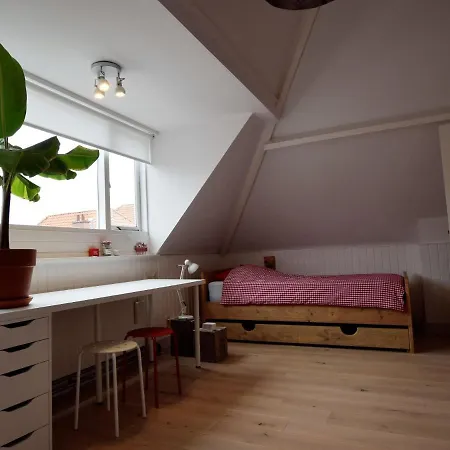 Quietly Located Mansion Near The Centre Of