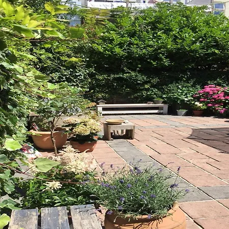 Mansion In The Heart Of האג