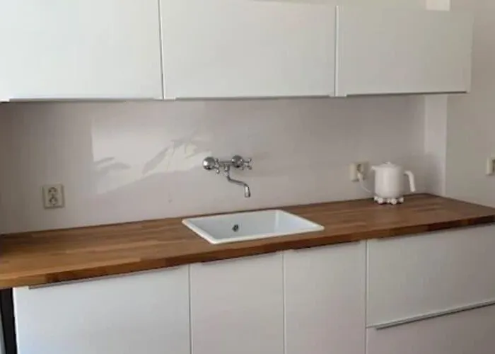 Mansion In The Heart Of The Hague