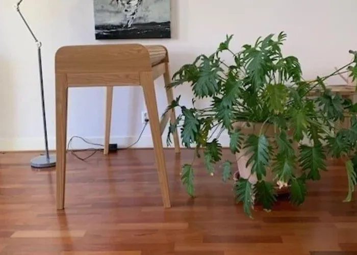 Mansion In The Heart Of The Hague Ferienhaus