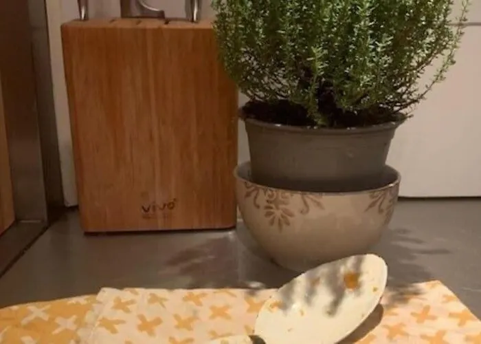 Mansion In The Heart Of The Hague * La Haya