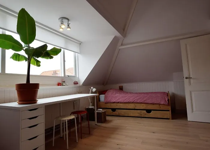 Mansion In The Heart Of The Hague