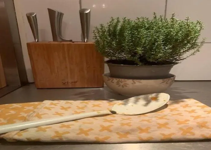 Mansion In The Heart Of Hébergement de vacances La Haye